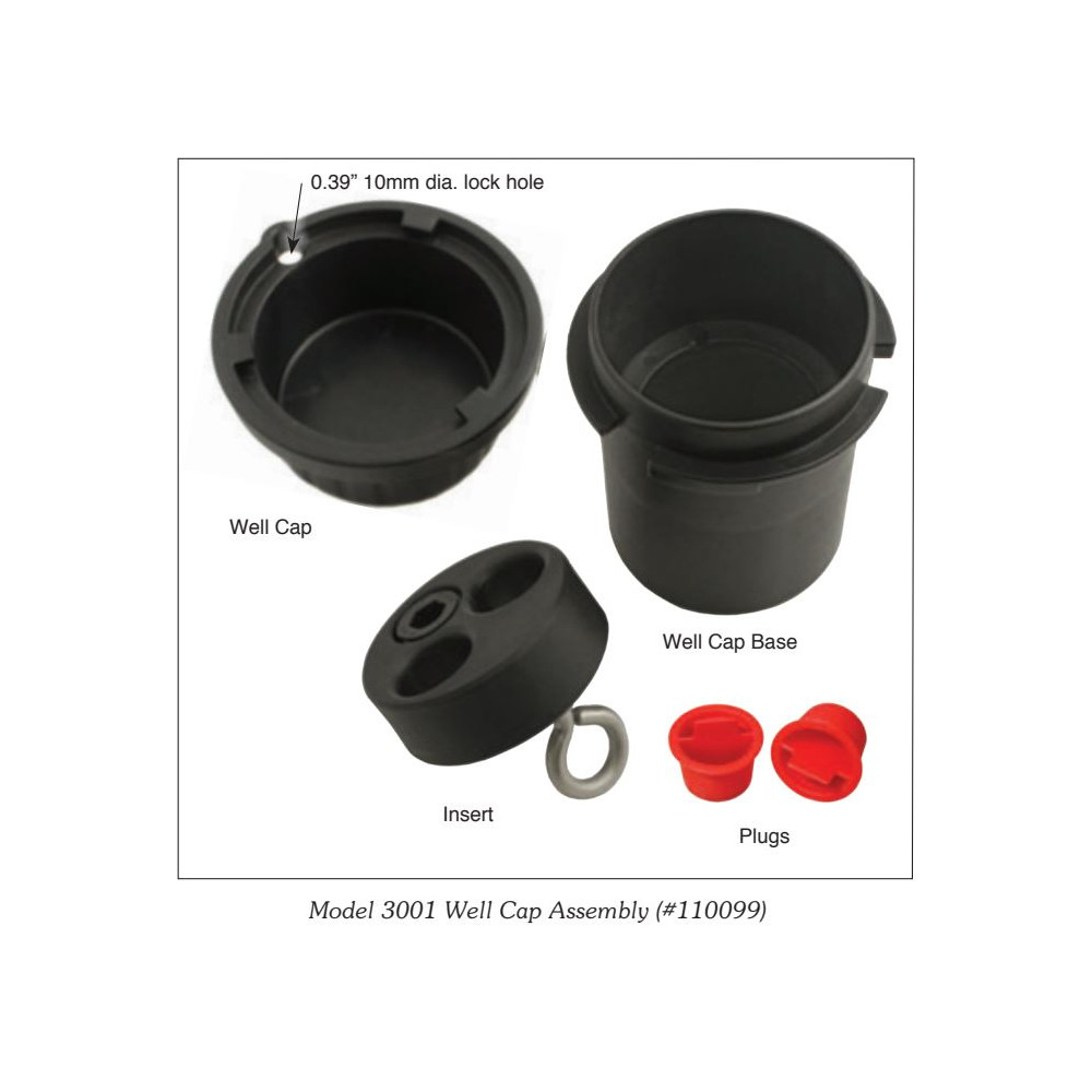 Tête de puits verrouillable - 2"