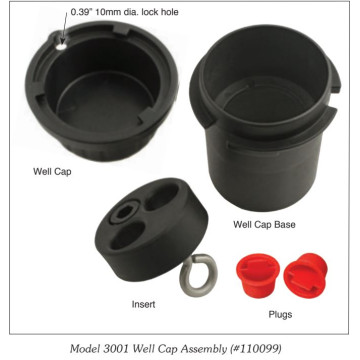 Tête de puits verrouillable - 2"